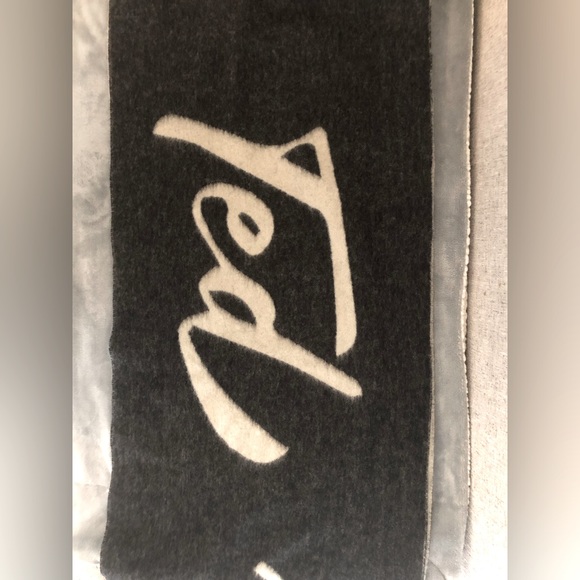 TED BAKER Lornas Branded Wool and Cashmere Scarf - Picture 6 of 9